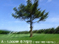 A타입 추가쿠폰 (팀당1,000원)