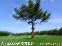 A타입 추가쿠폰 (팀당4,000원)