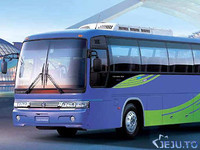 제주도렌트버스 / 제주 45인승 (기사추천일정-유료관광지) 전세버스 + Atype 쿠폰 (팀당2,000원)